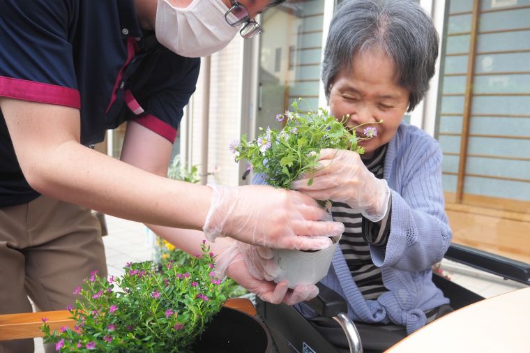 夏の寄せ植え