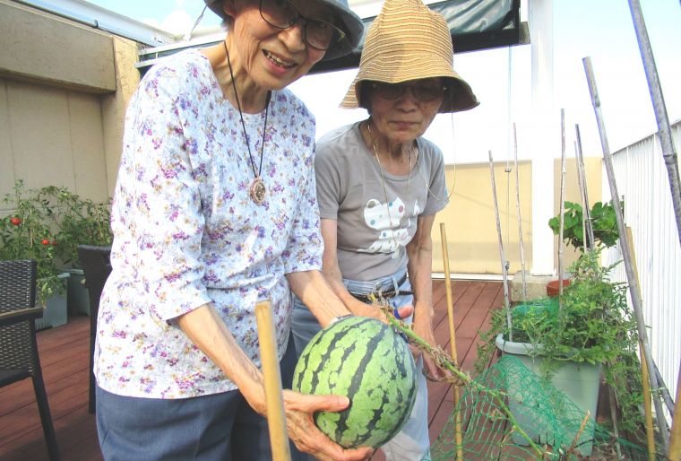 こんなに甘いの出来るのね‼