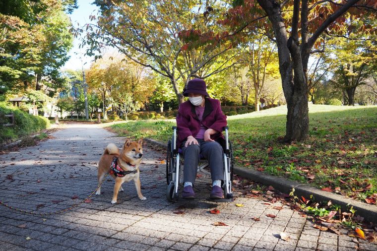 散策の途中で犬の散歩の方とすれ違い、『可愛いね』と思わぬ交流ができました。