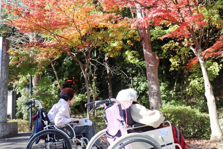 紅葉の中を散策しながら「良い色ね、やっぱり紅葉が良いわね」「今日は最高の日」と仰り紅葉に勝る笑顔で輝いてました🍂