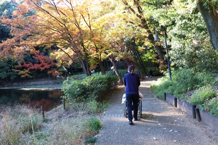 スタッフと一緒に公園の中をのんびりとお散歩！子犬や子供達・・と可愛い刺激も一杯でした🍂